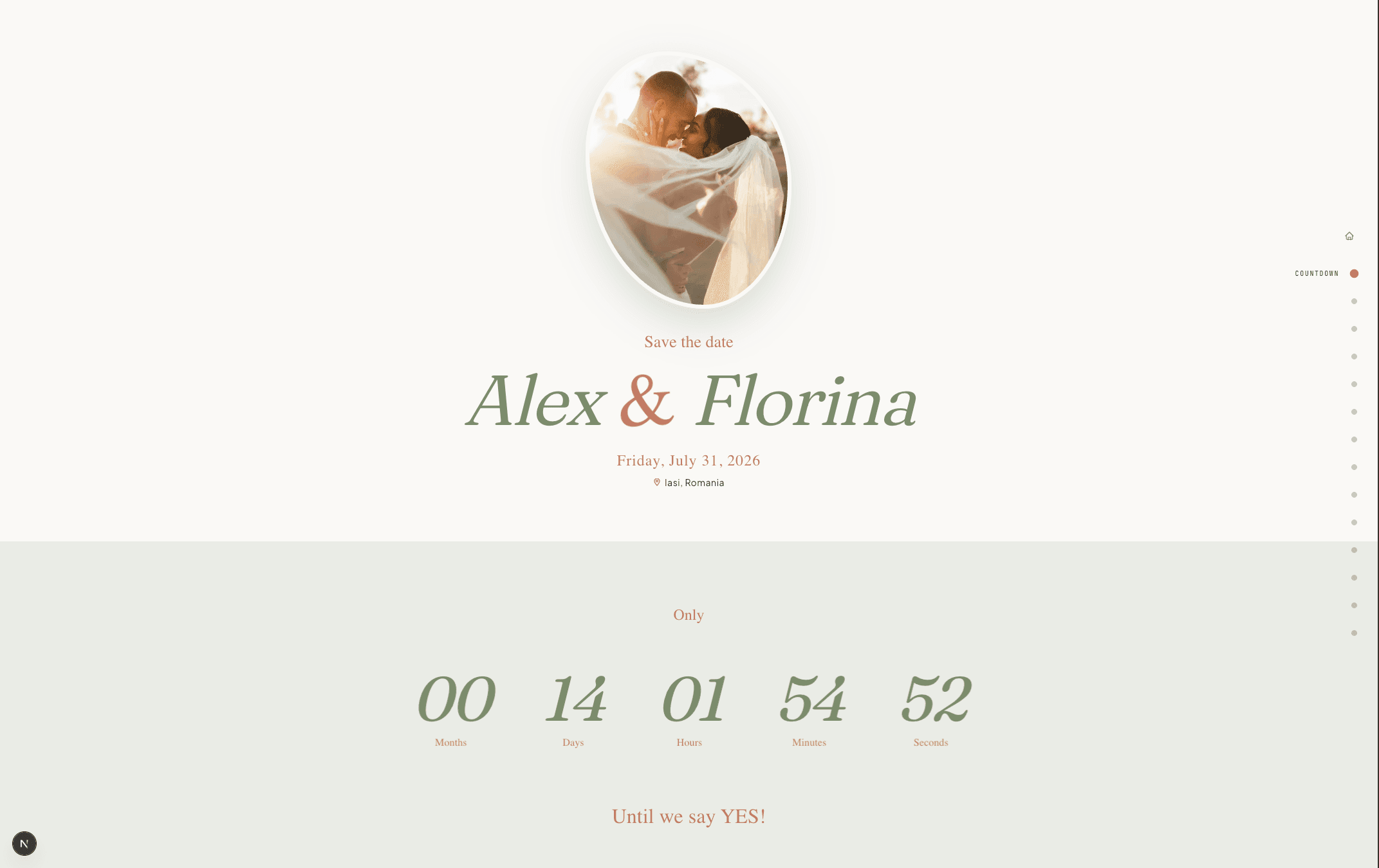 Organic Theme Live Preview Example
