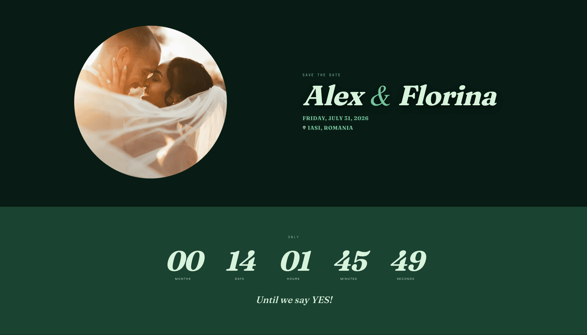 Liquefy Theme Live Preview Example